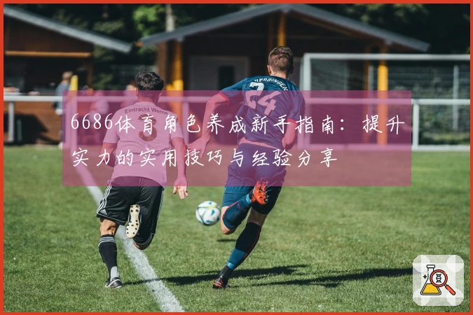 6686体育角色养成新手指南：提升实力的实用技巧与经验分享
