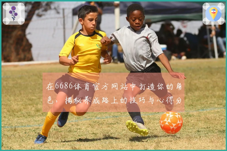 在6686体育官方网站中打造你的角色，揭秘养成路上的技巧与心得分享