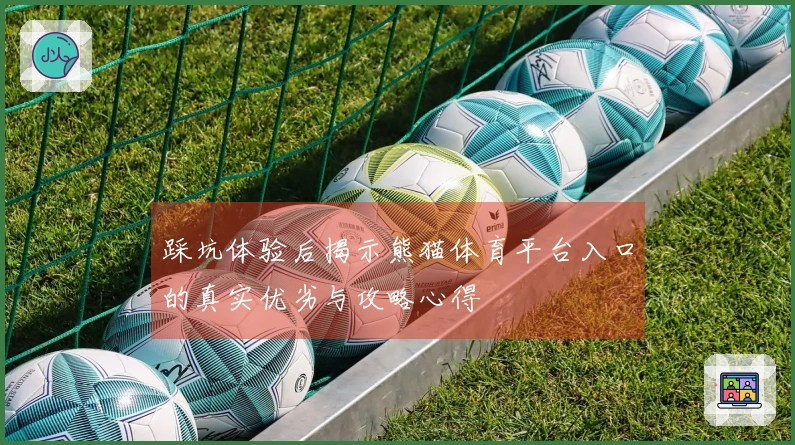 踩坑体验后揭示熊猫体育平台入口的真实优劣与攻略心得